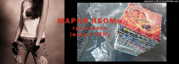 шишки Арсеньев