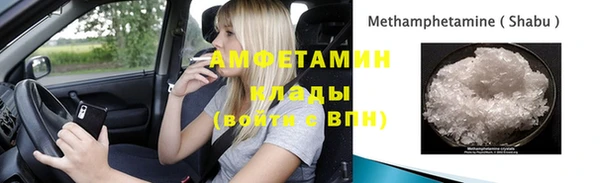 шишки Аркадак
