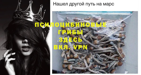 шишки Арсеньев