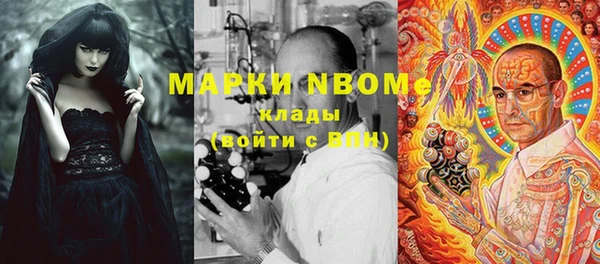 шишки Аркадак