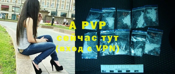 шишки Арсеньев