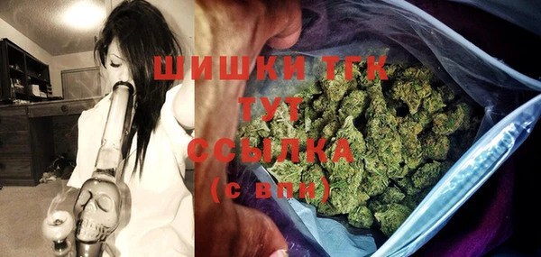 шишки Арсеньев