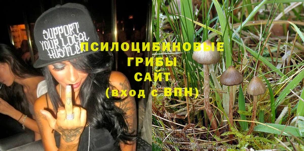 шишки Арсеньев