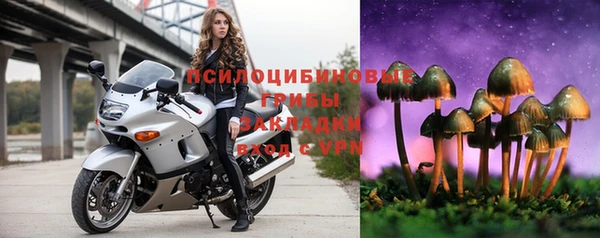 шишки Аркадак