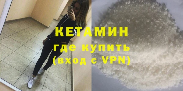 шишки Арсеньев