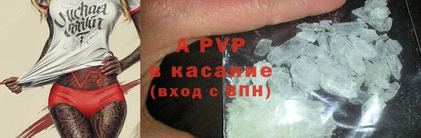 шишки Аркадак