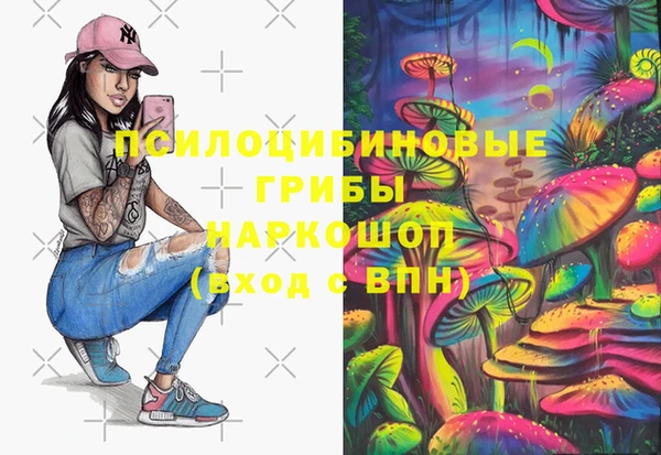 шишки Аркадак